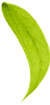 hojita_5